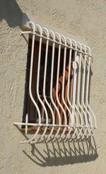 mettre des barreaux verticaux aux fenetres
