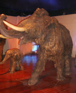 mammouth