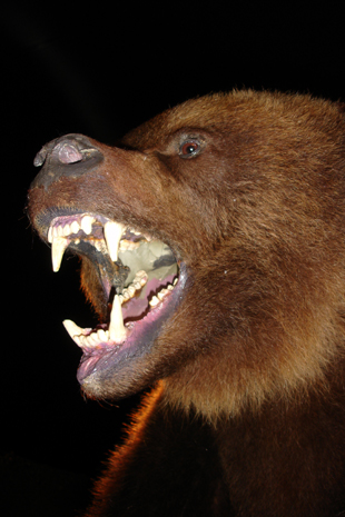 ours