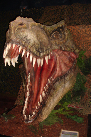 tyranosaure