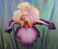iris , tableau