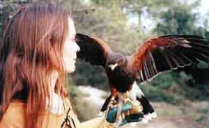 aigle