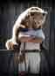 dresseur d'ours