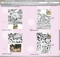 Coloriages d'après photos de safari, coloriages réalistes d'animaux