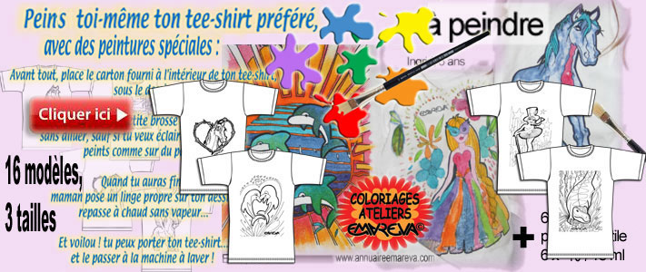 exemple de tee-shirt peints