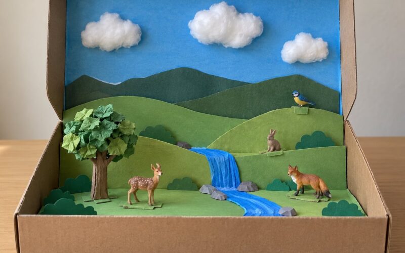 How to Make a Shoebox Diorama: Easy Kids’ Project (2026)
